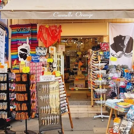 Rue Fesch - Vieille Apartment Ajaccio (Corsica)