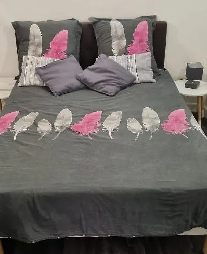 Rue Fesch - Vieille Apartment *